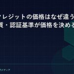 carbon-credit-price-forma-catch
